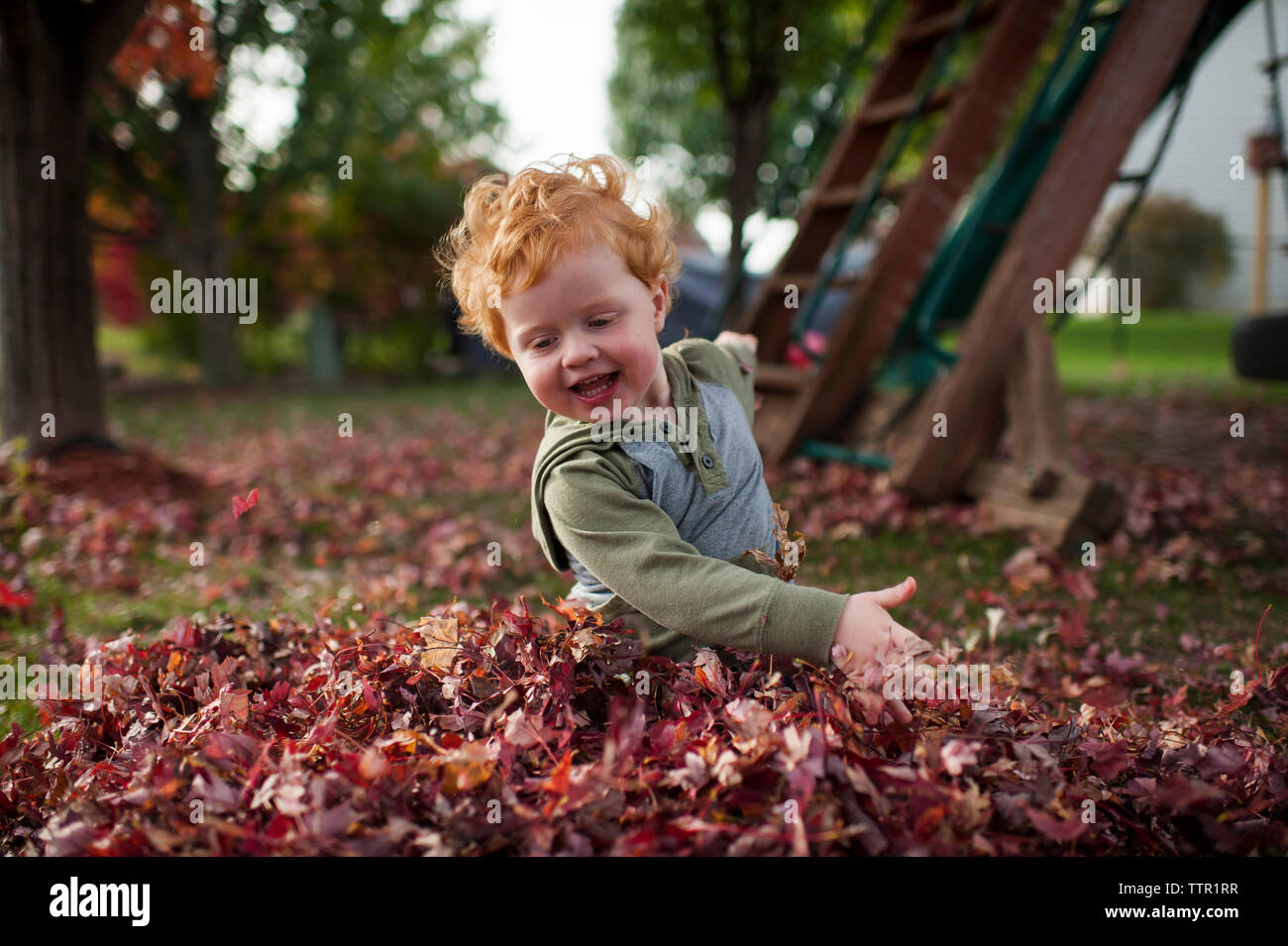 Joyful toddler boy plays in pile of leaves in backyard at home Stock Photo