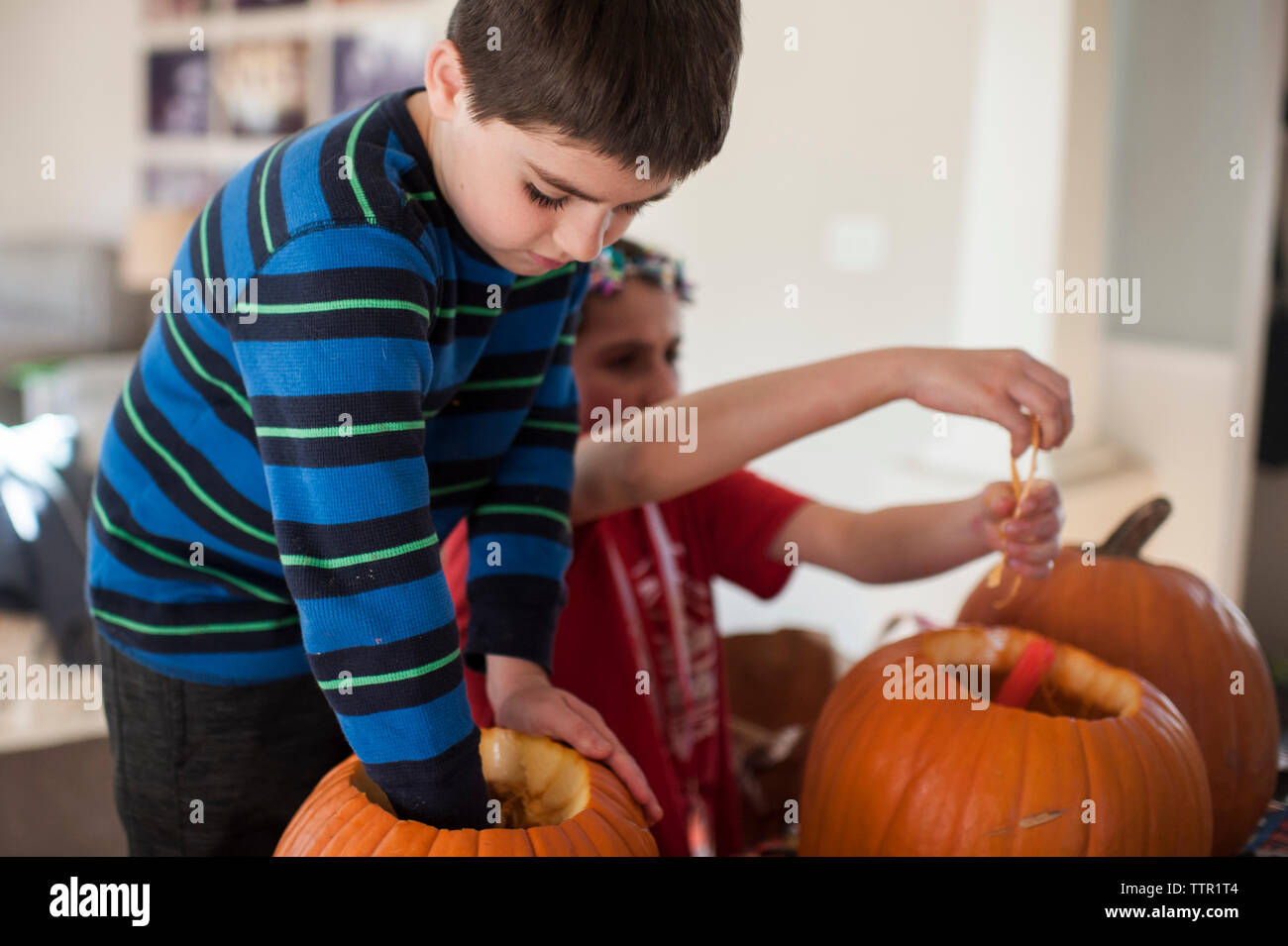 brother and sister preparing their pumpkins to carve for halloween Stock Photo