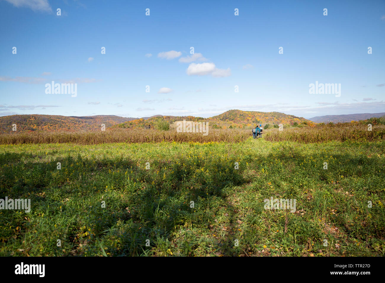 Woman walking field blue sky hi-res stock photography and images - Alamy