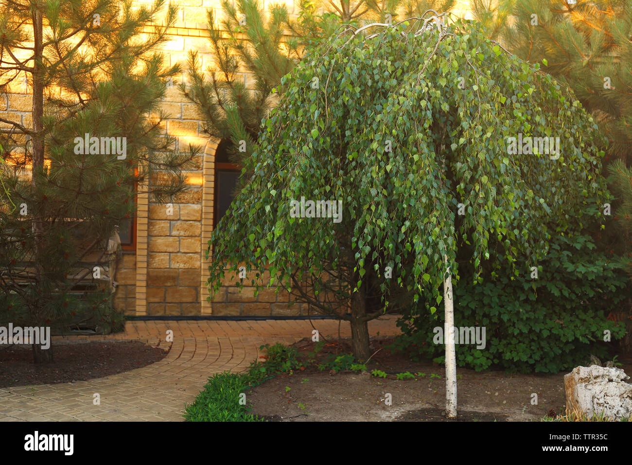 Pathway in a green park Stock Photo - Alamy