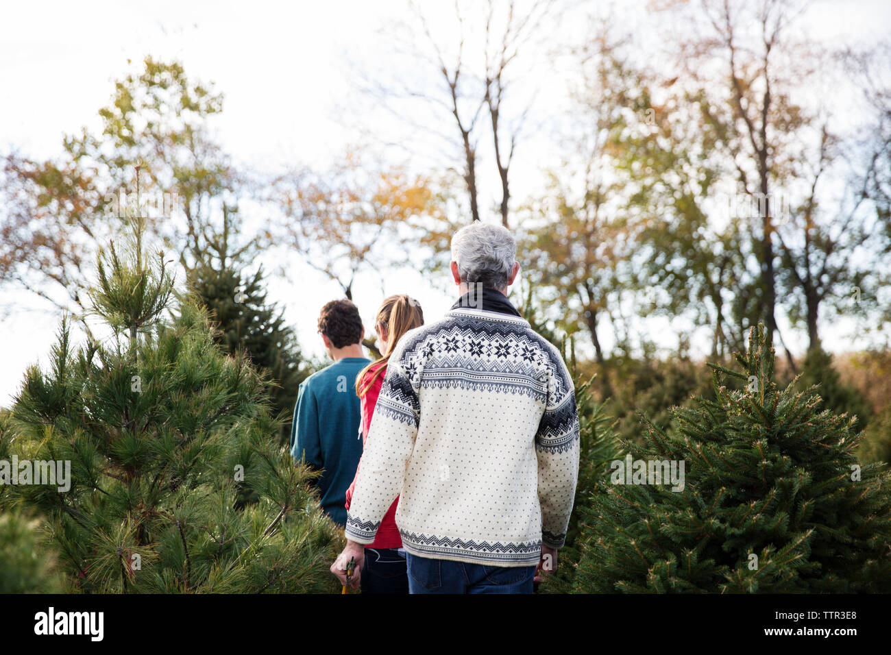 Rear view brother sister walking hi-res stock photography and images ...
