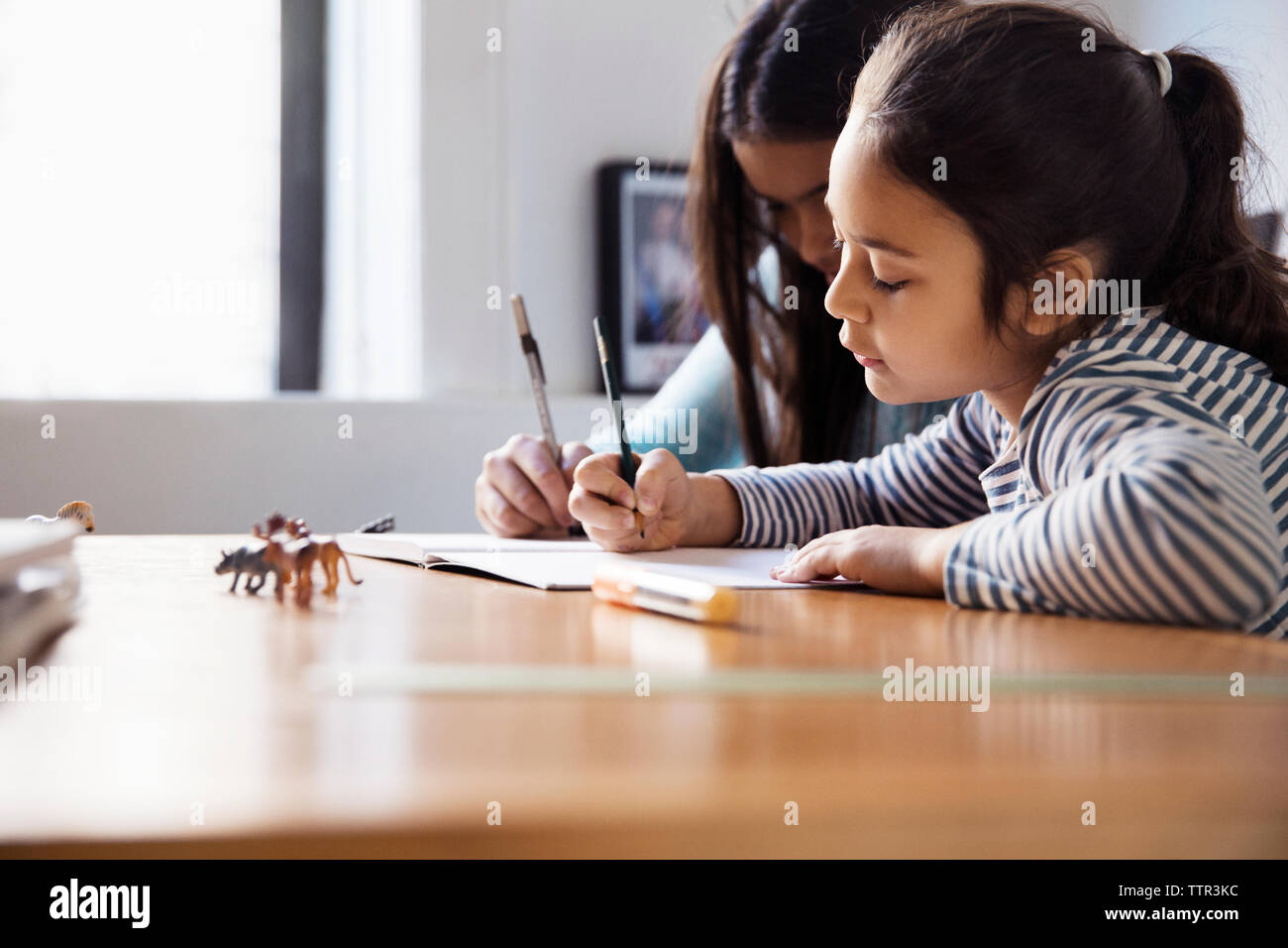 Girls studying while sitting at table Stock Photo