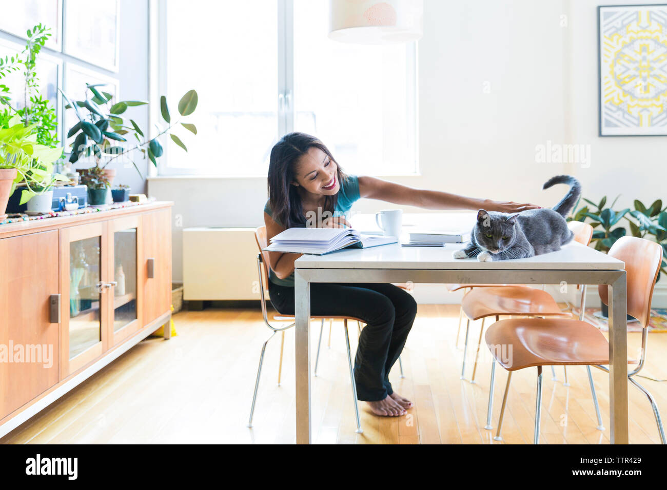 Woman petting cat while working at home office Stock Photo