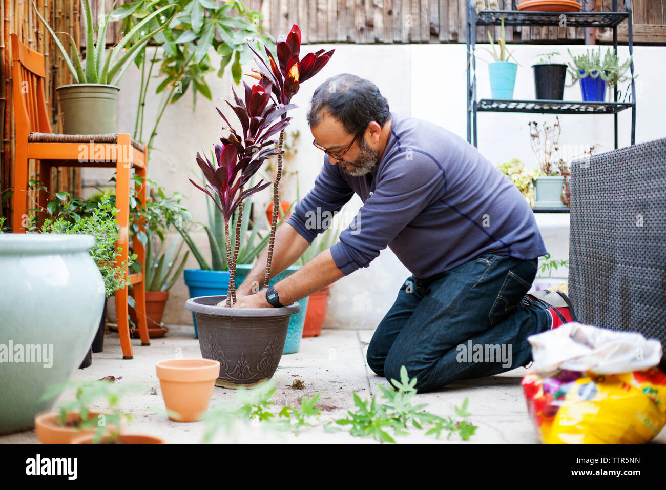 Man plants pots hires stock photography and images Alamy