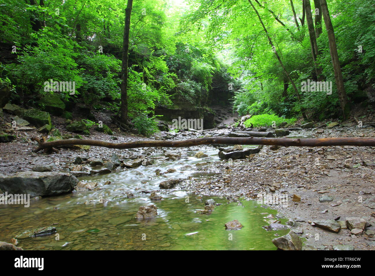 Indian Village Canyon, Columbus, Ohio Stock Photo - Alamy