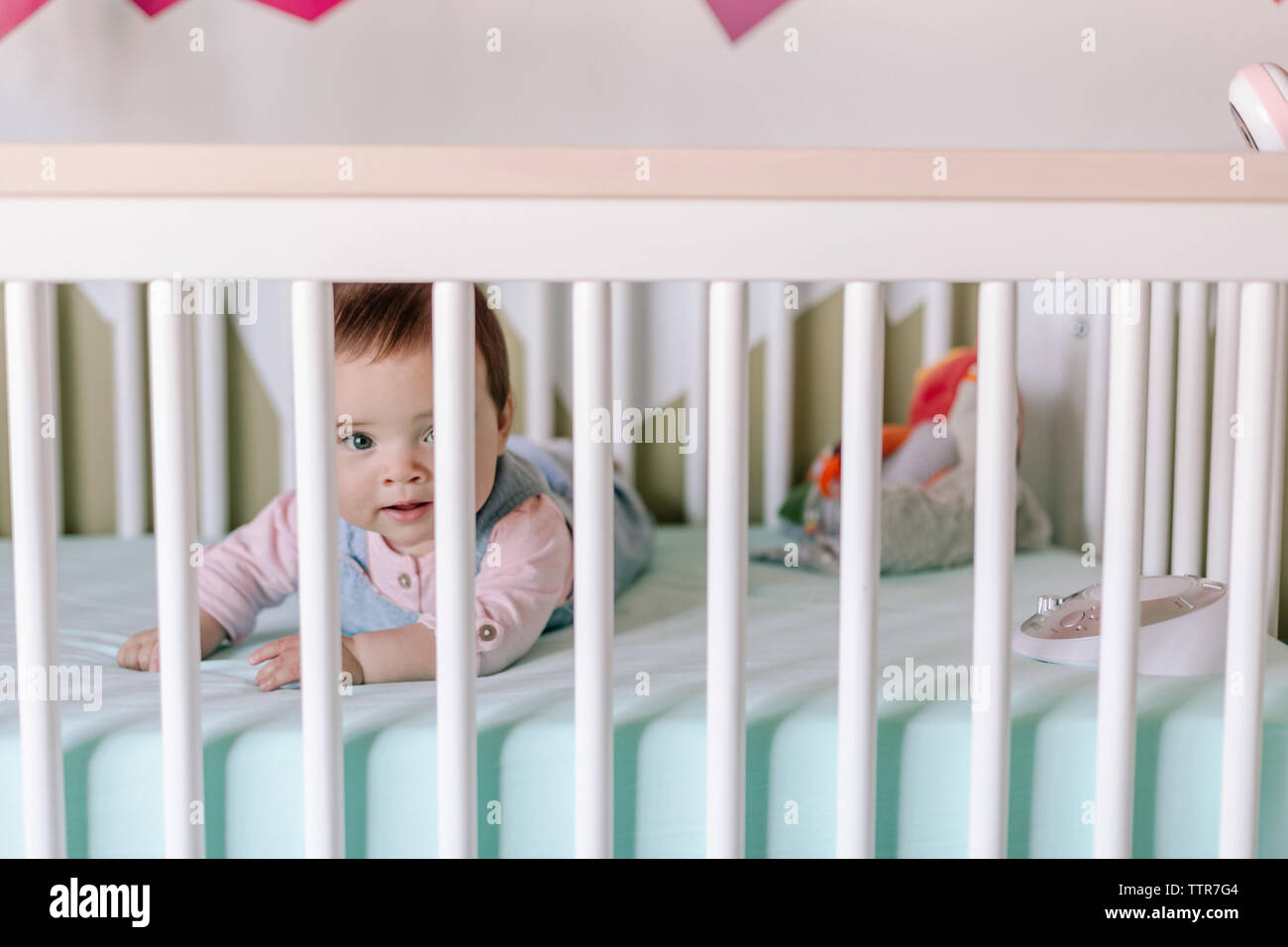 happy baby bassinet