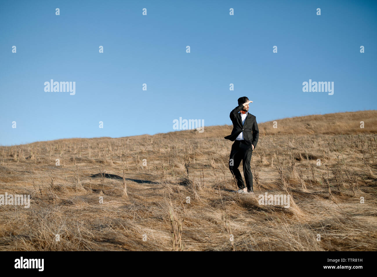 Young man with suit on a field against blue sky Stock Photo
