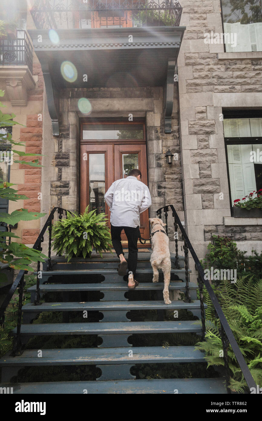 Rear view of man with dog moving up on steps at house Stock Photo