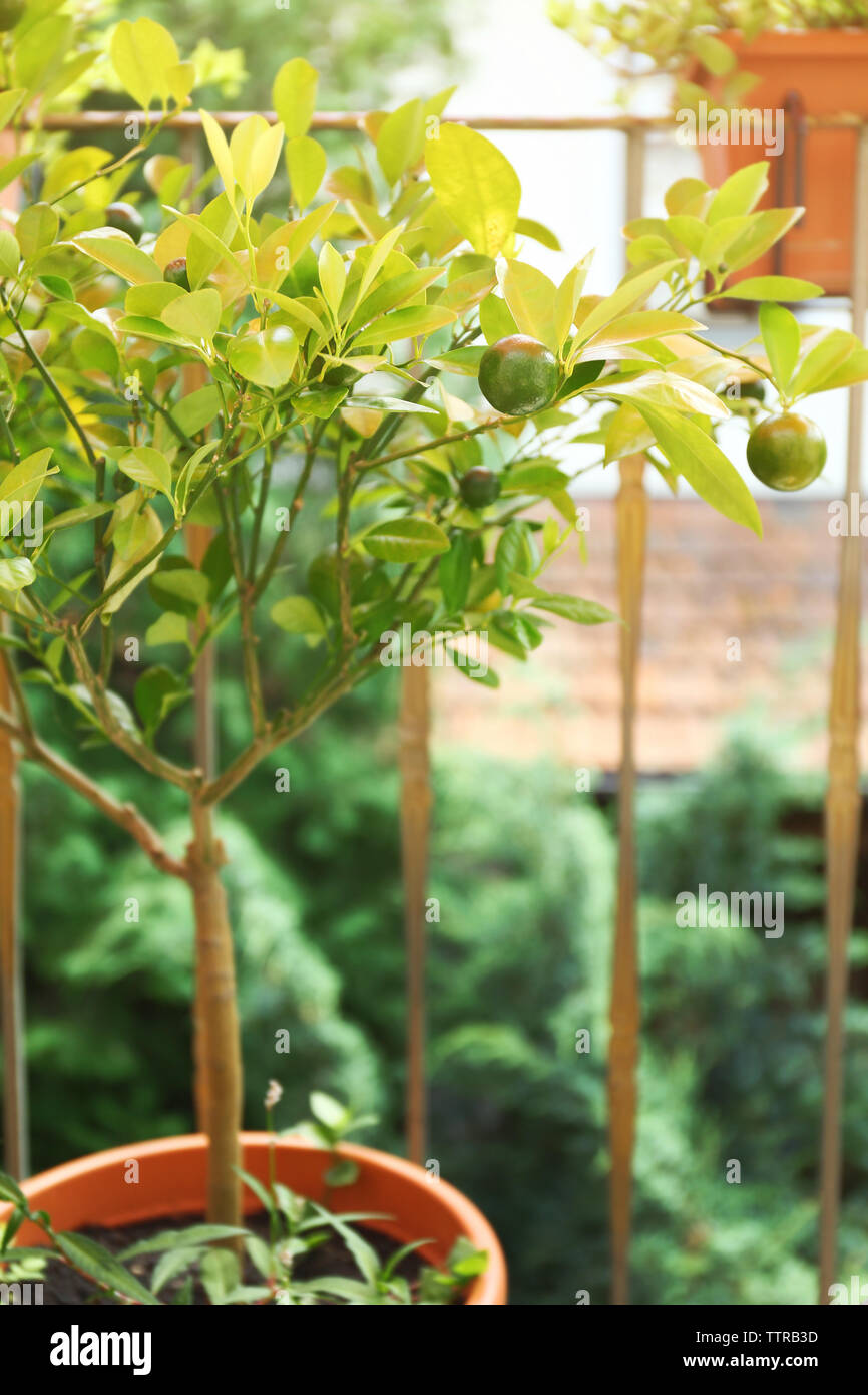 Food pot closeup blur hires stock photography and images Alamy