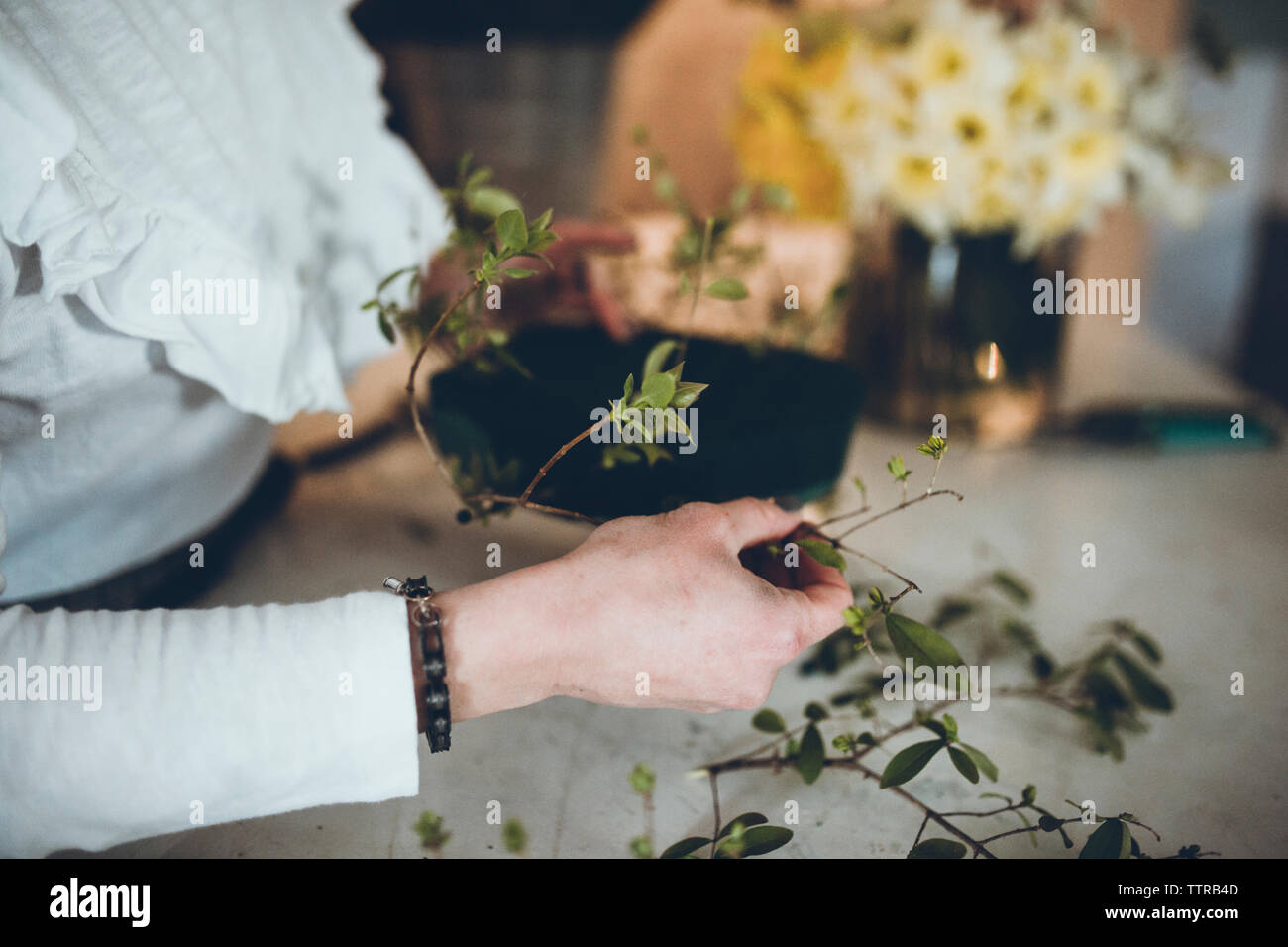Cropped image of florist arranging plant stems on floral foam at flower shop Stock Photo