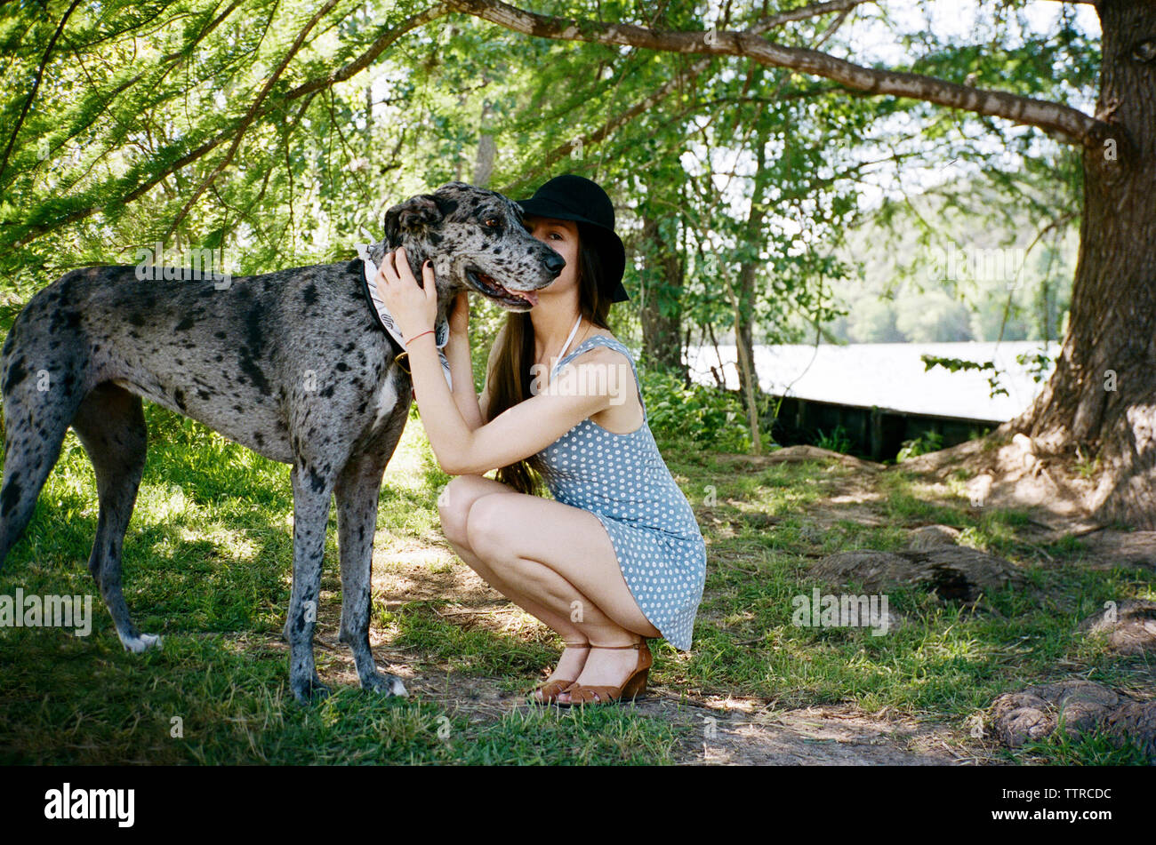 Full length of woman kissing Great Dane at park Stock Photo Alamy