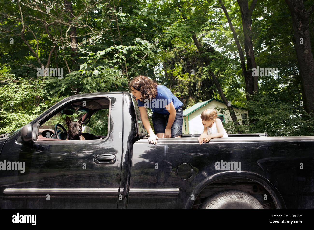Sisters looking at dog in pick-up truck Stock Photo