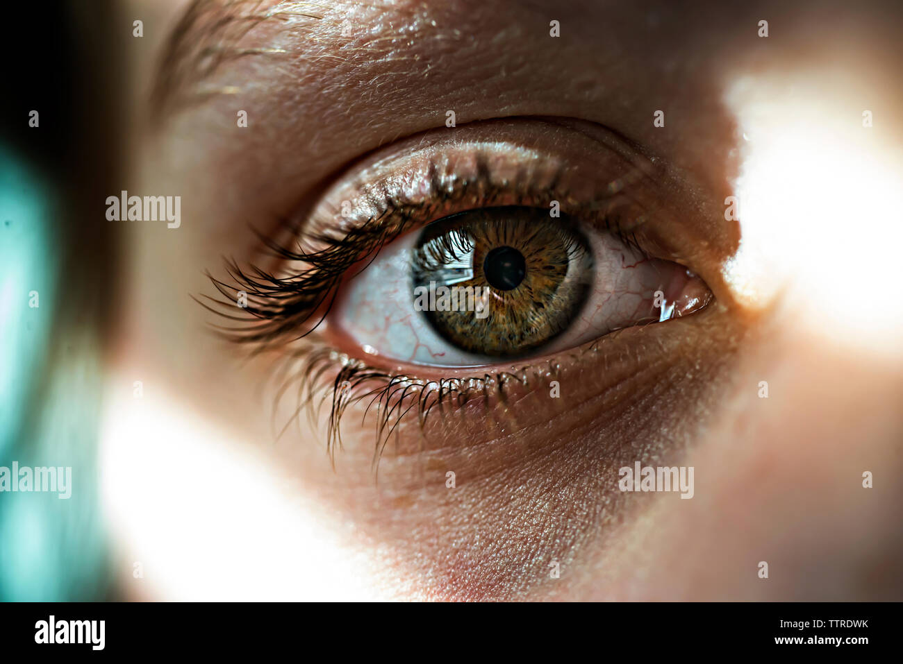 Мельком глаза. Девушка с черными глазами. Глаз картинка. Мельком глаза. Мельком глаза.