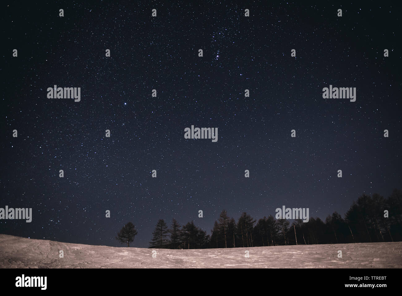 Stars sky night hi-res stock photography and images - Alamy