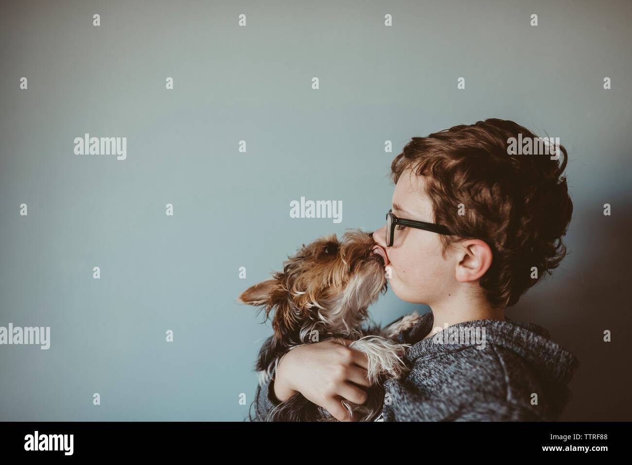 Yorkshire Terrier licking boy's face against wall at home Stock Photo