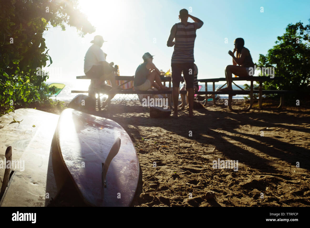 Friends surfing on beach sunny day hi-res stock photography and images ...