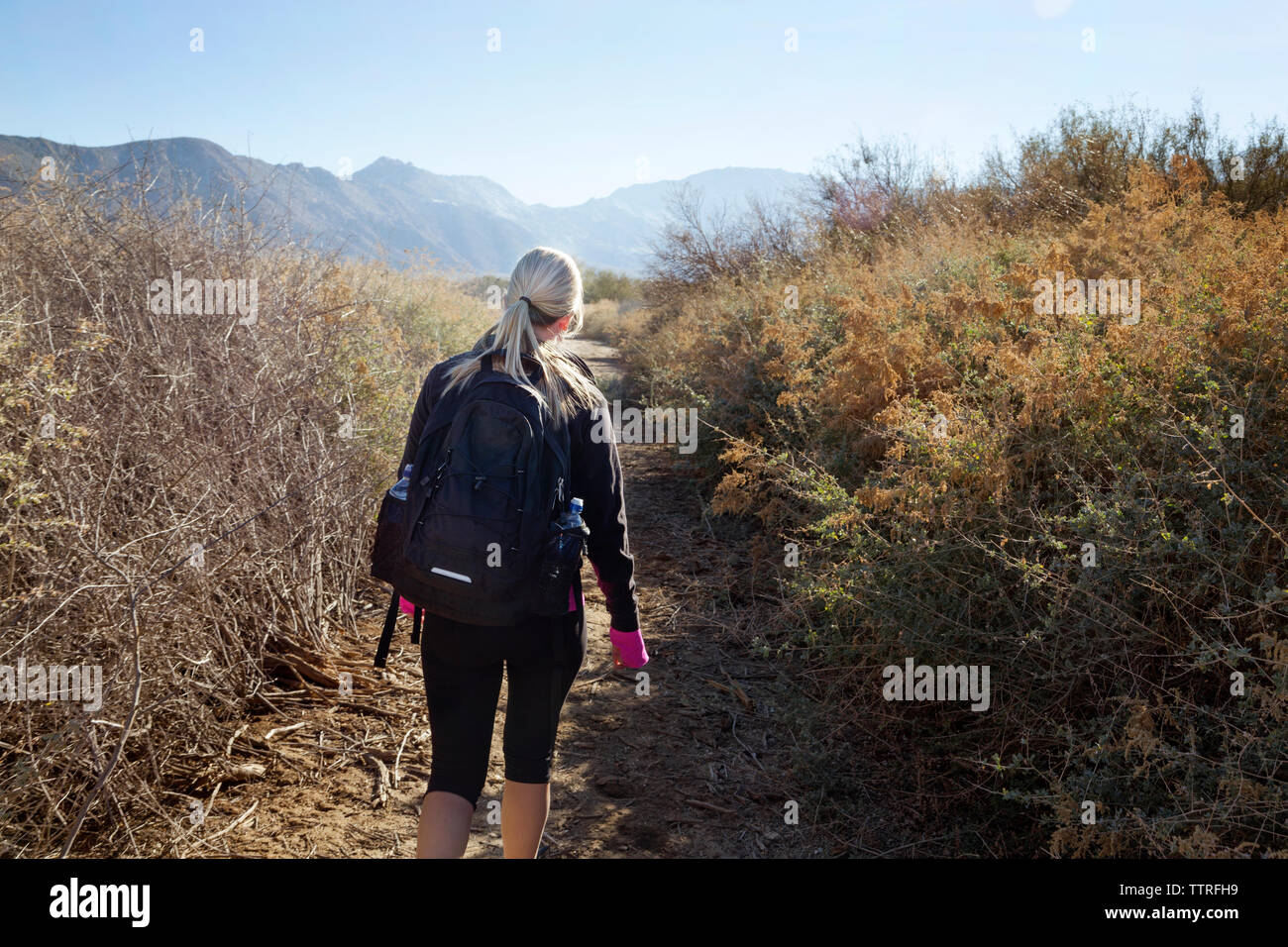 Rear view of hiker walking amidst plants against clear sky Stock Photo