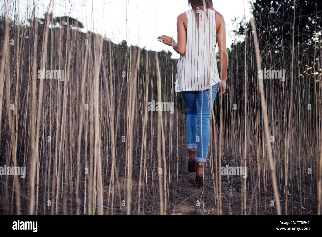 Rear view of teenage girl walking amidst plants in forest Stock Photo ...
