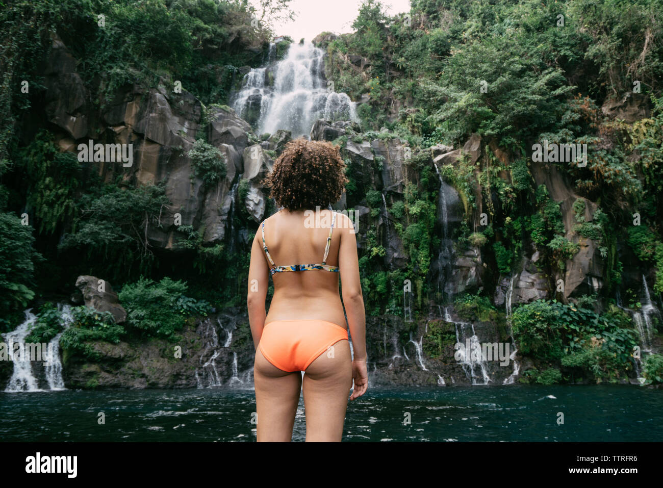 Rear view of young woman in bikini standing against waterfall at forest Stock Photo