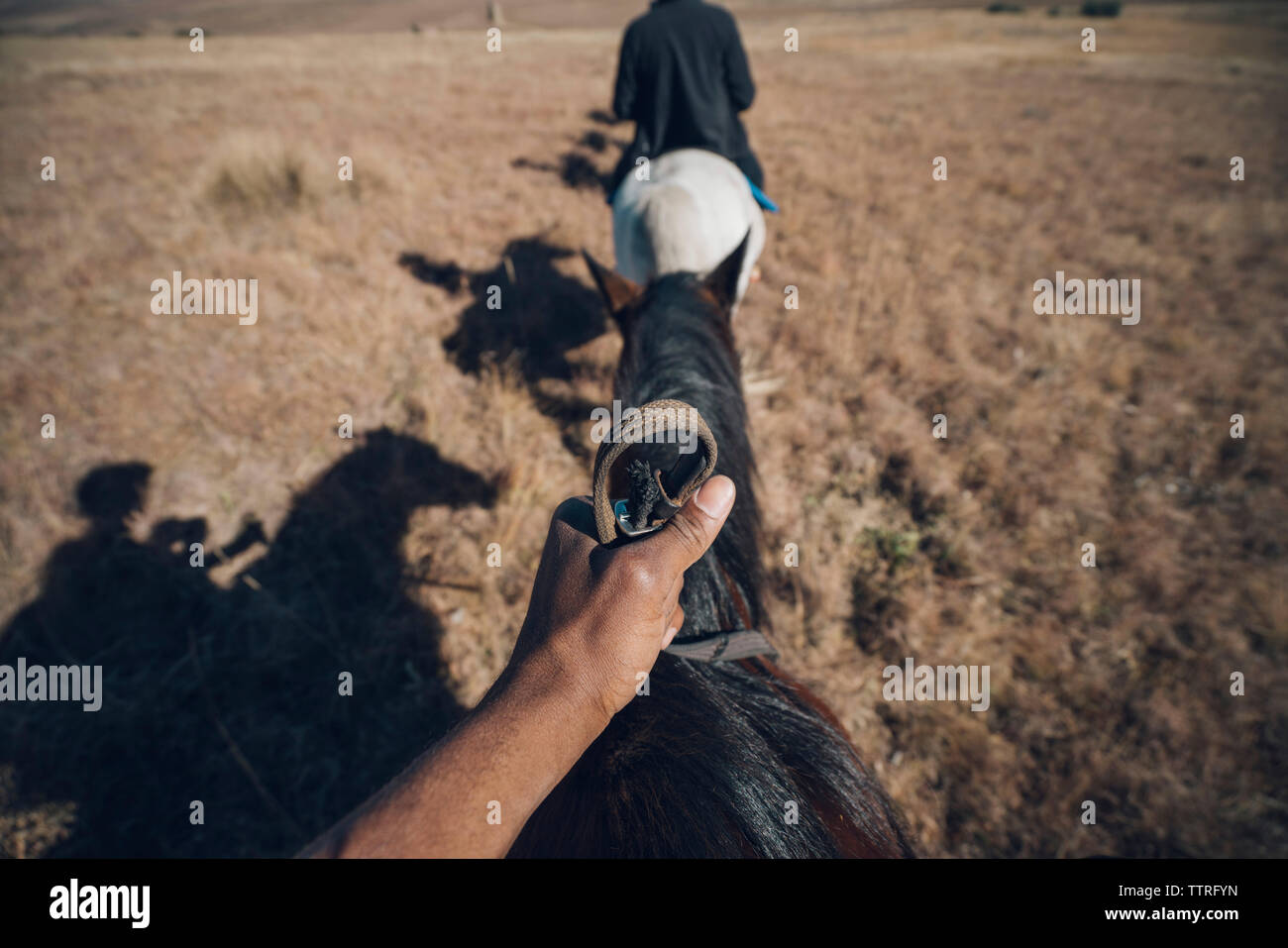 Cropped hand of man with woman riding horses on field Stock Photo
