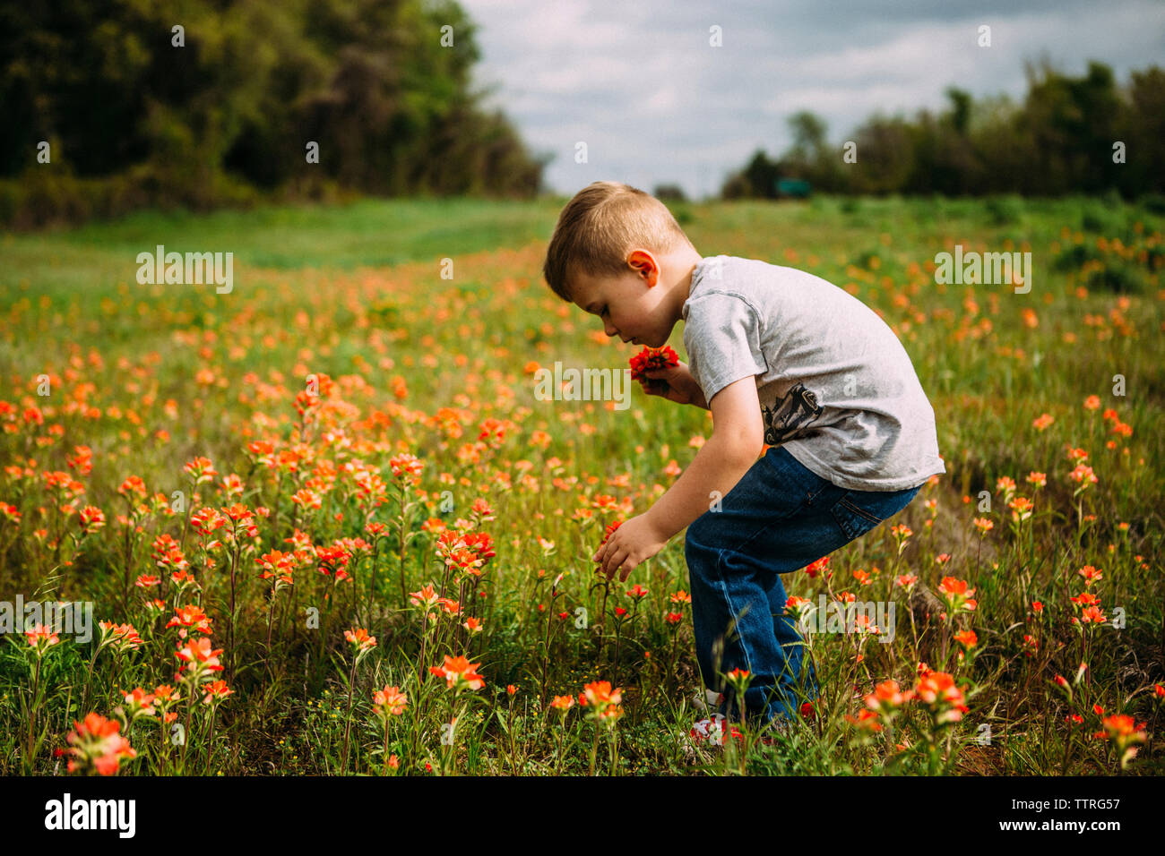 Side view of boy plucking flowers while standing on field Stock Photo