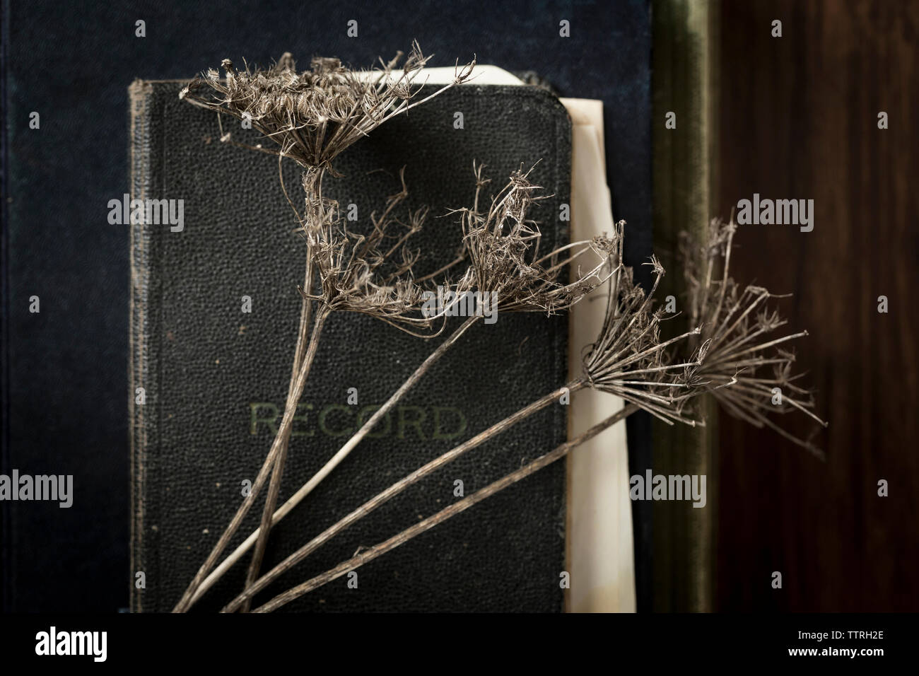 Close-up of dry plants with diary and books on wooden table Stock Photo