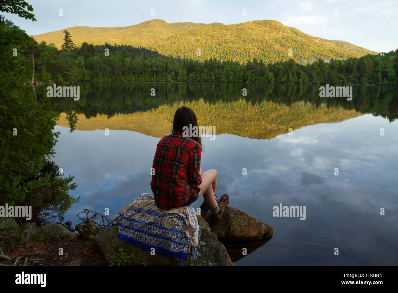 Rear view of woman looking at view while sitting on rock by pond in forest Stock Photo