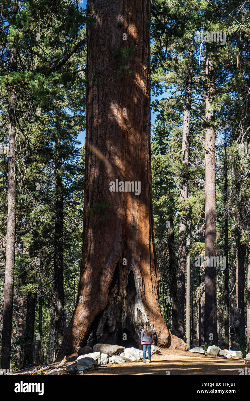 Tall woman standing hi-res stock photography and images - Alamy