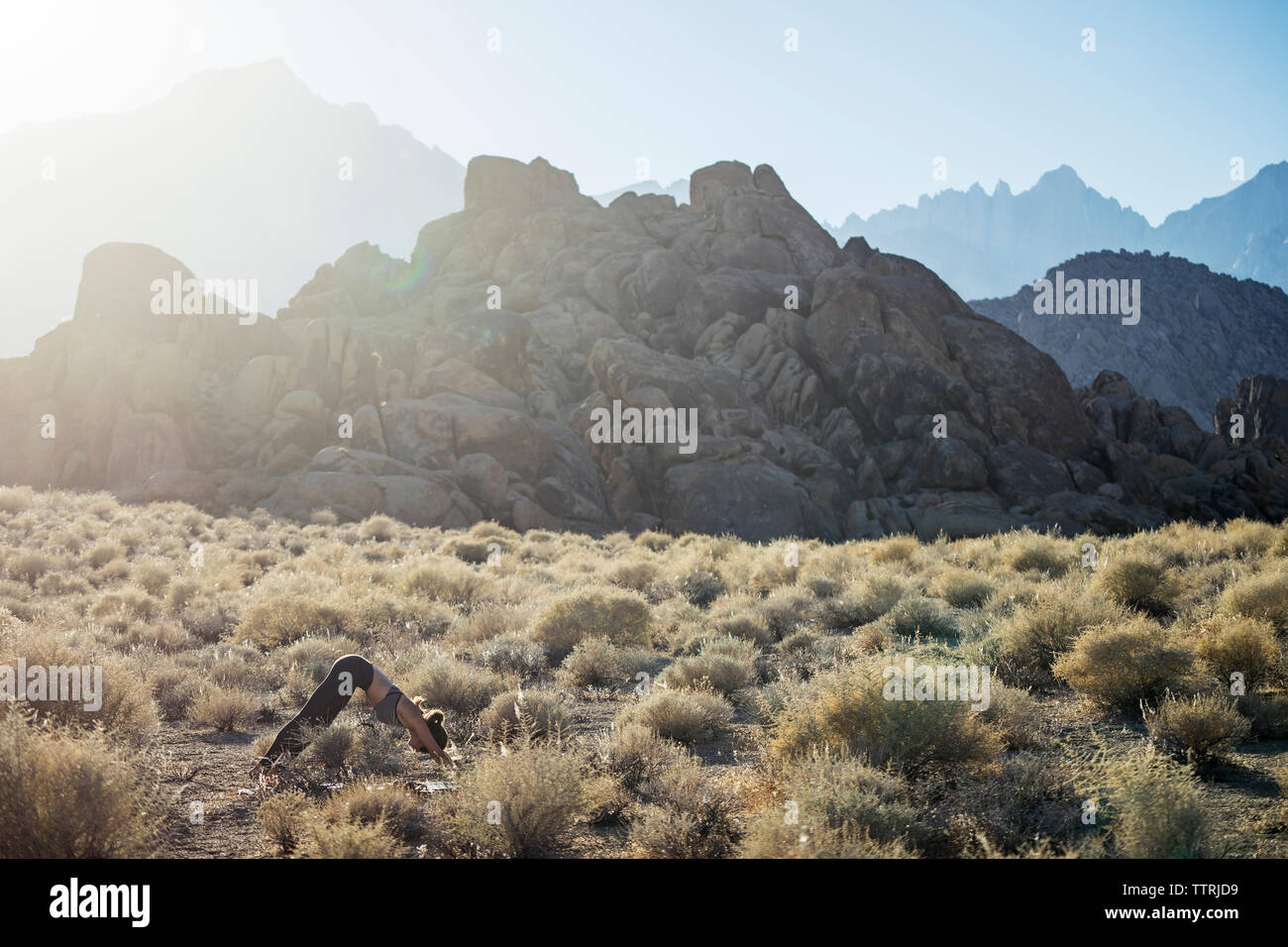 Side view of woman bending while practicing yoga on field against mountains during sunny day Stock Photo