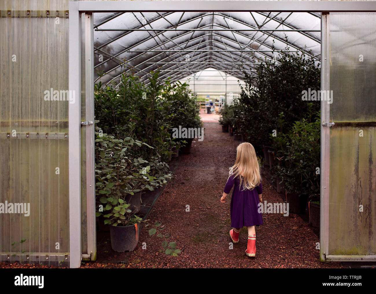 Girl greenhouse hi-res stock photography and images - Alamy