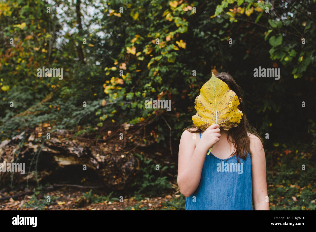 Girl holding leaf in front of face while standing at park during autumn Stock Photo