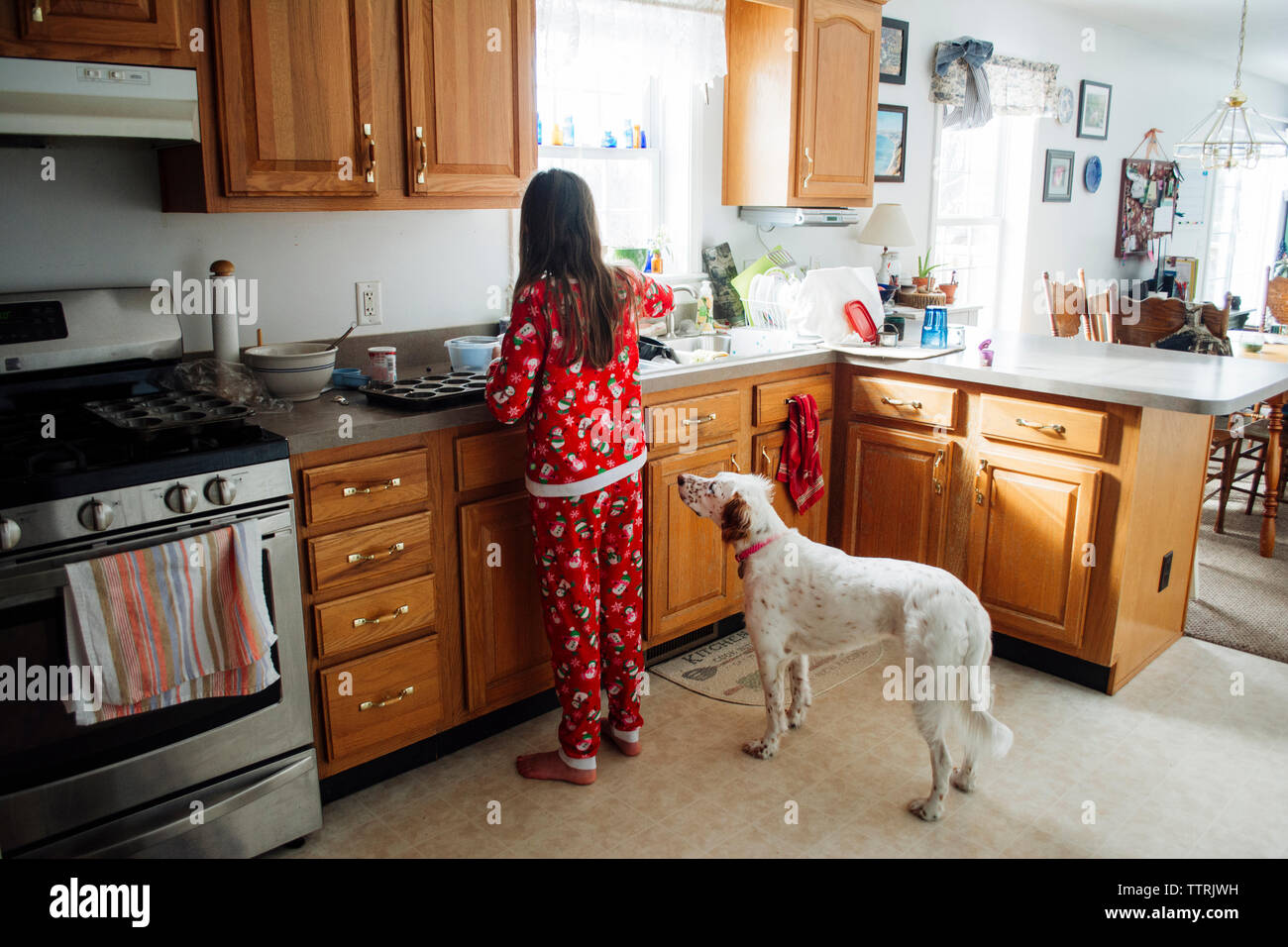 Rear view of girl preparing food while standing by dog in kitchen Stock Photo
