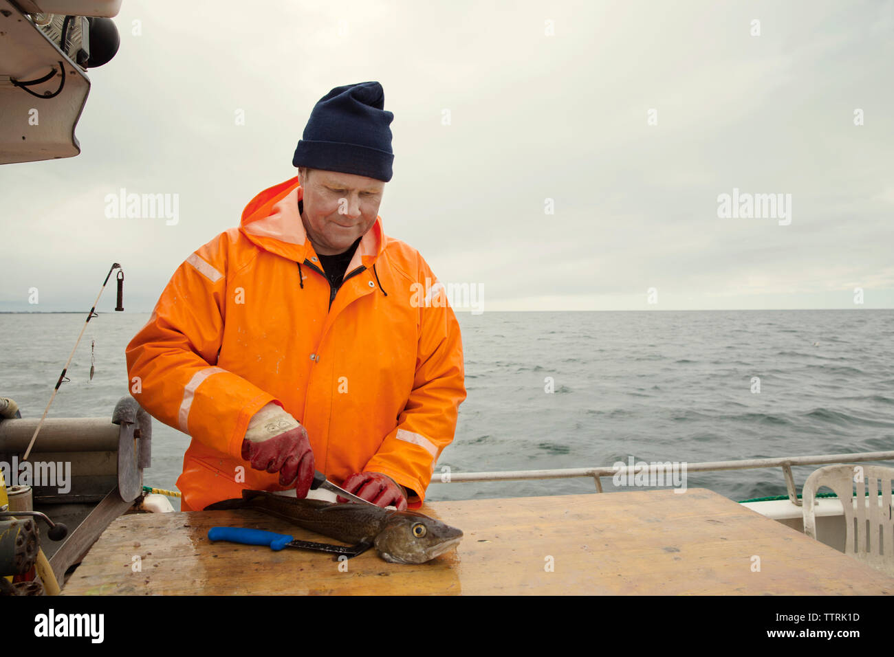 Fisherman in orange protective workwear while cutting fish in boat on sea Stock Photo