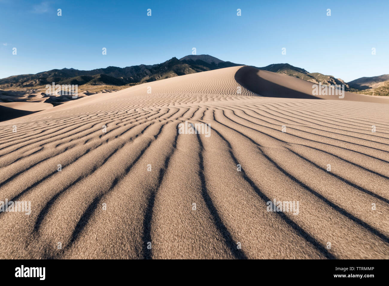 Natural pattern on sand dunes Stock Photo