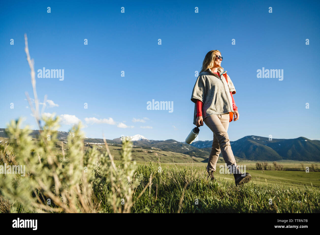 Low angle view walking grass hi-res stock photography and images - Alamy