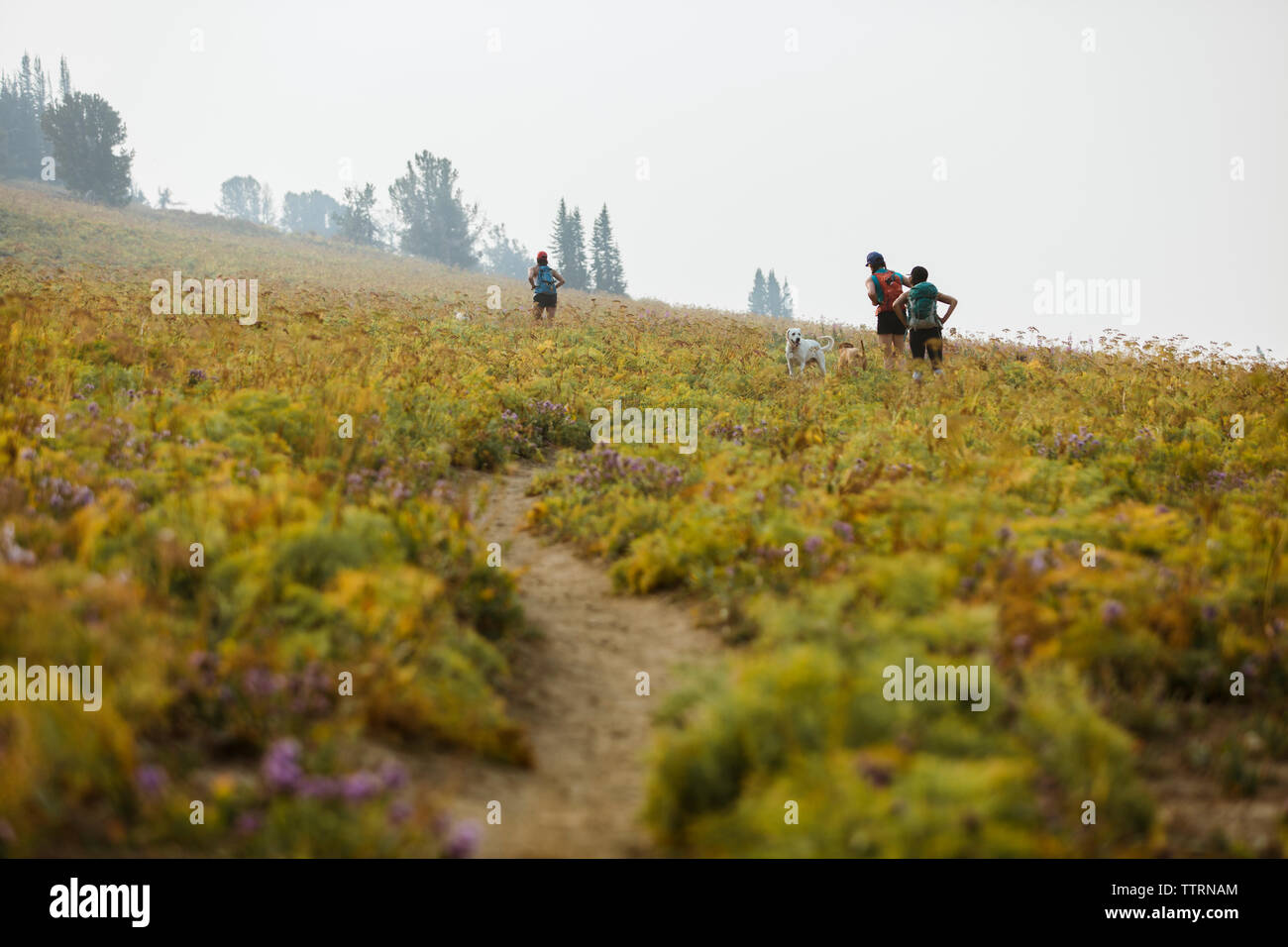 Three female tourists hikers hi-res stock photography and images - Alamy