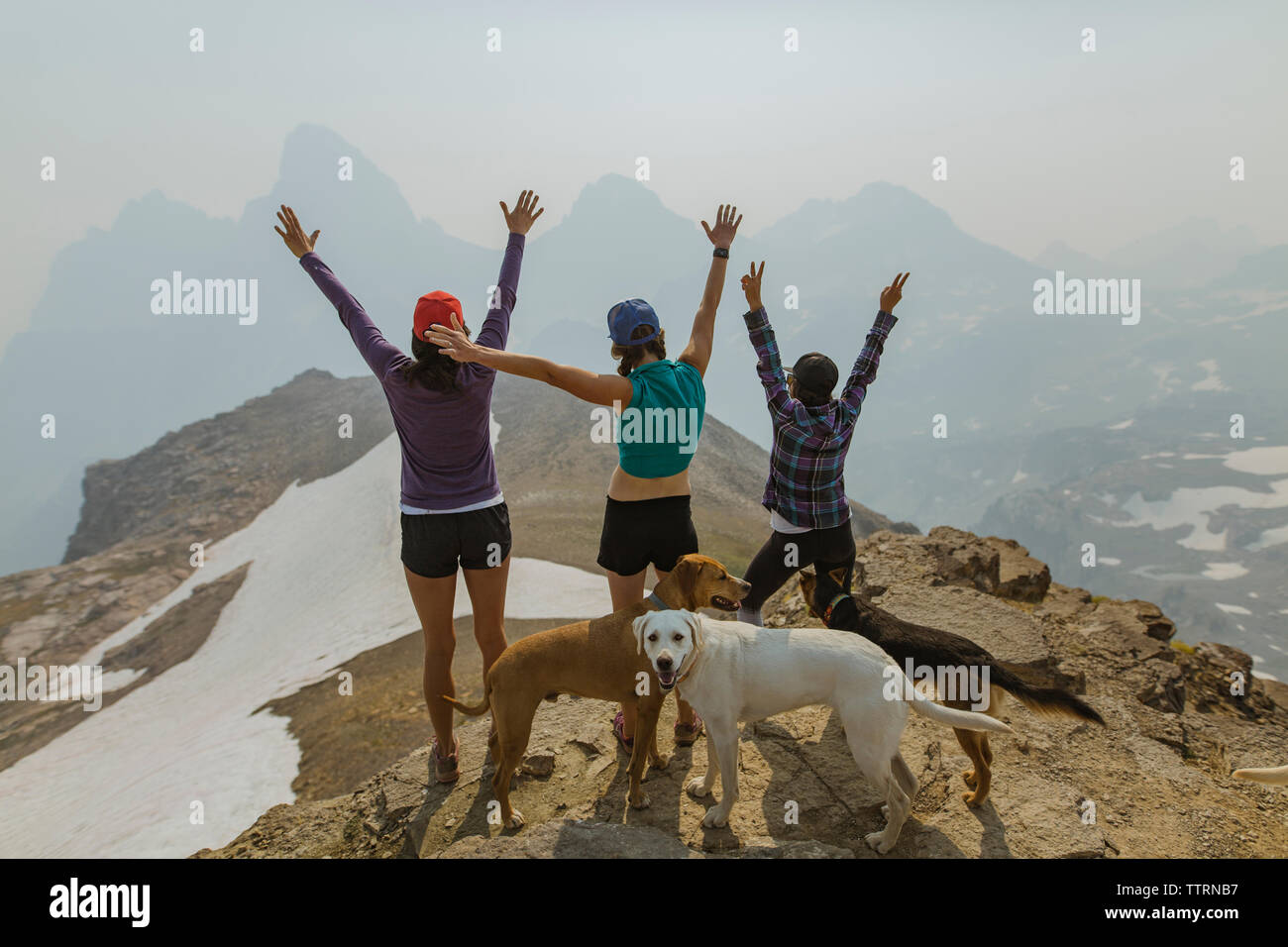 Rear view of friends with arms raised standing by dogs on mountain Stock Photo