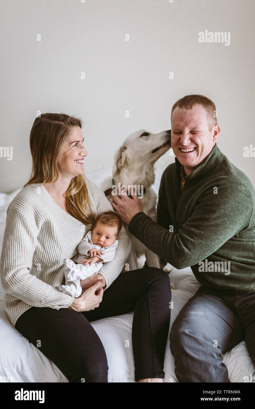 Why Do Dogs Lick Baby Faces