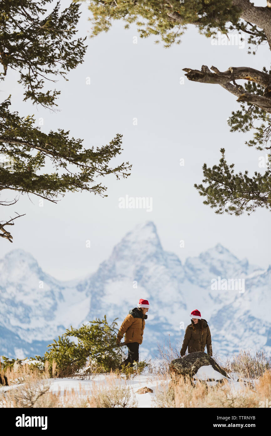 Smiling couple hikes with Christmas tree Stock Photo