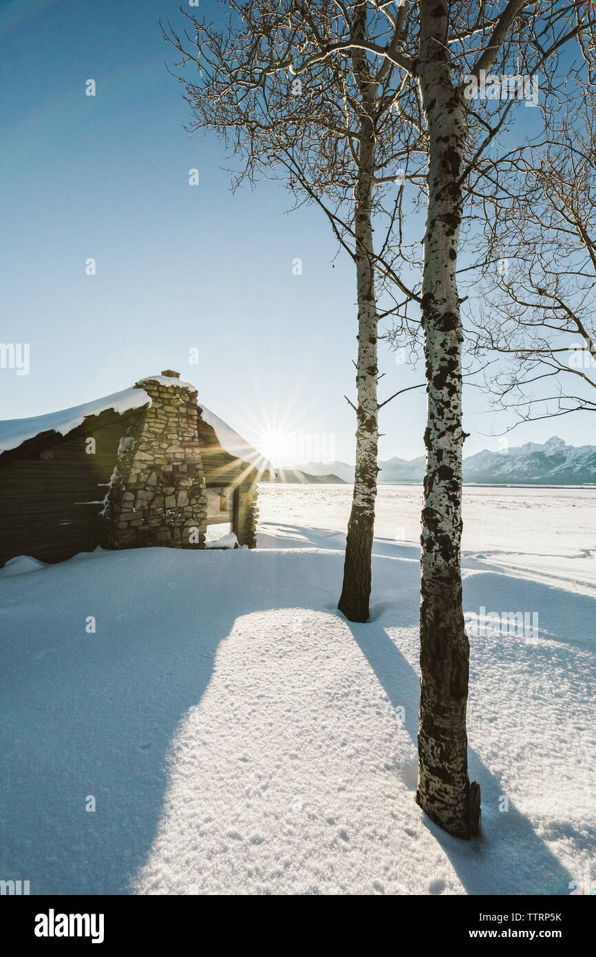 A Log Cabin In An Aspen Grove During Sunset Under The Mountains