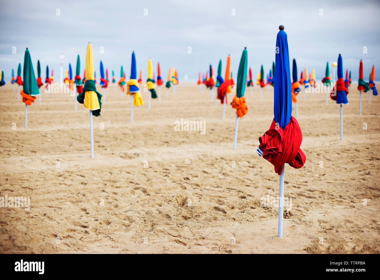 Closed parasols on sand at beach Stock Photo