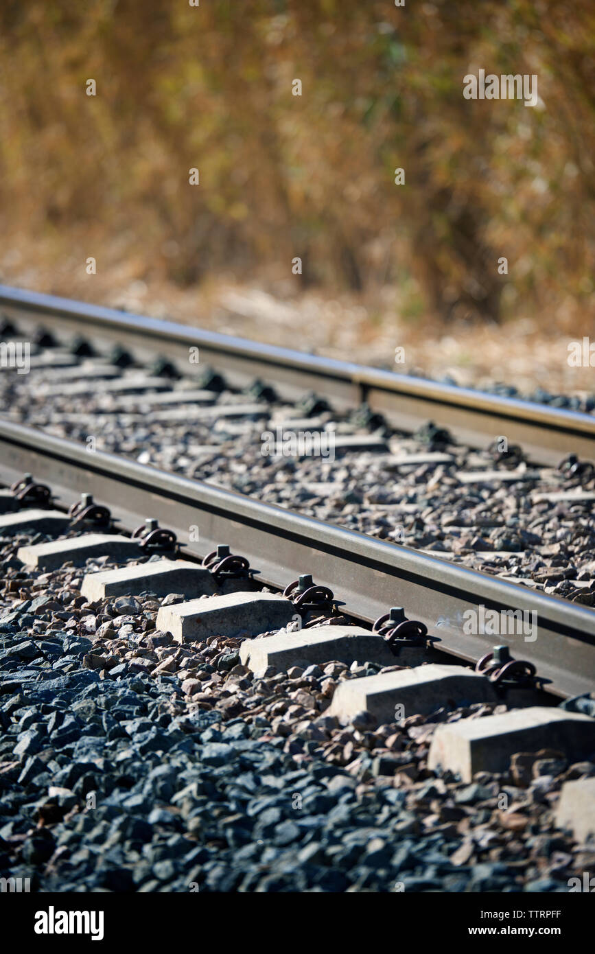 Railroad tracks during sunny day Stock Photo Alamy