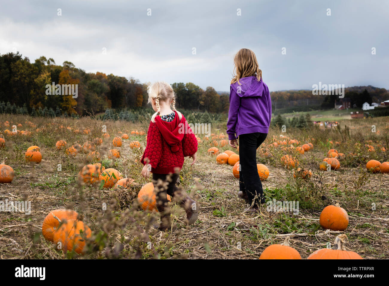 Family rear view girls walking hi-res stock photography and images - Alamy