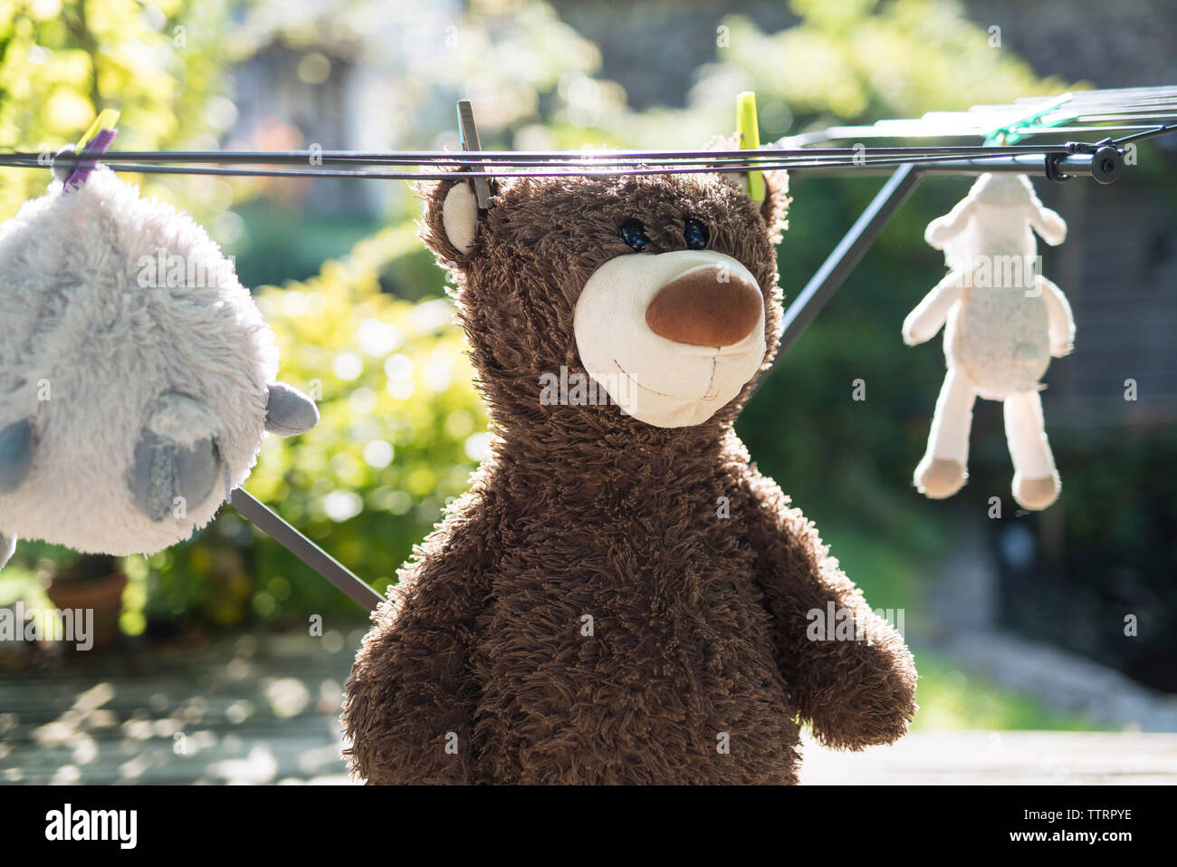 Close-up of stuffed toys hanging on clothesline Stock Photo
