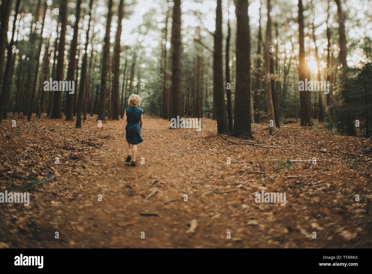 Girl rear view hi-res stock photography and images - Alamy