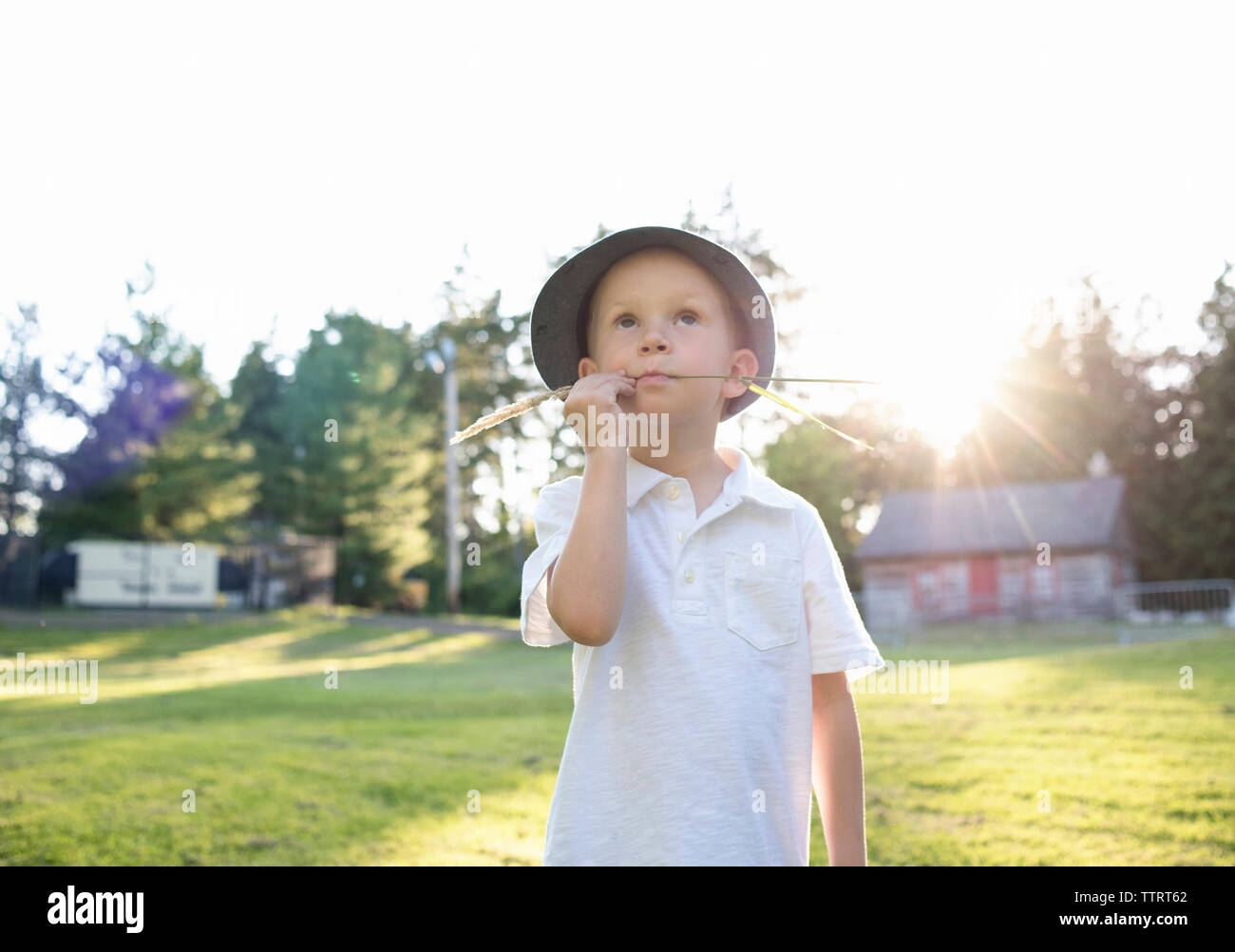 Boy looking away while chewing grass at park Stock Photo