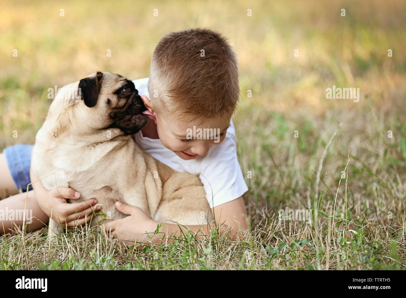 Cute boy with pug dog on green grass Stock Photo - Alamy