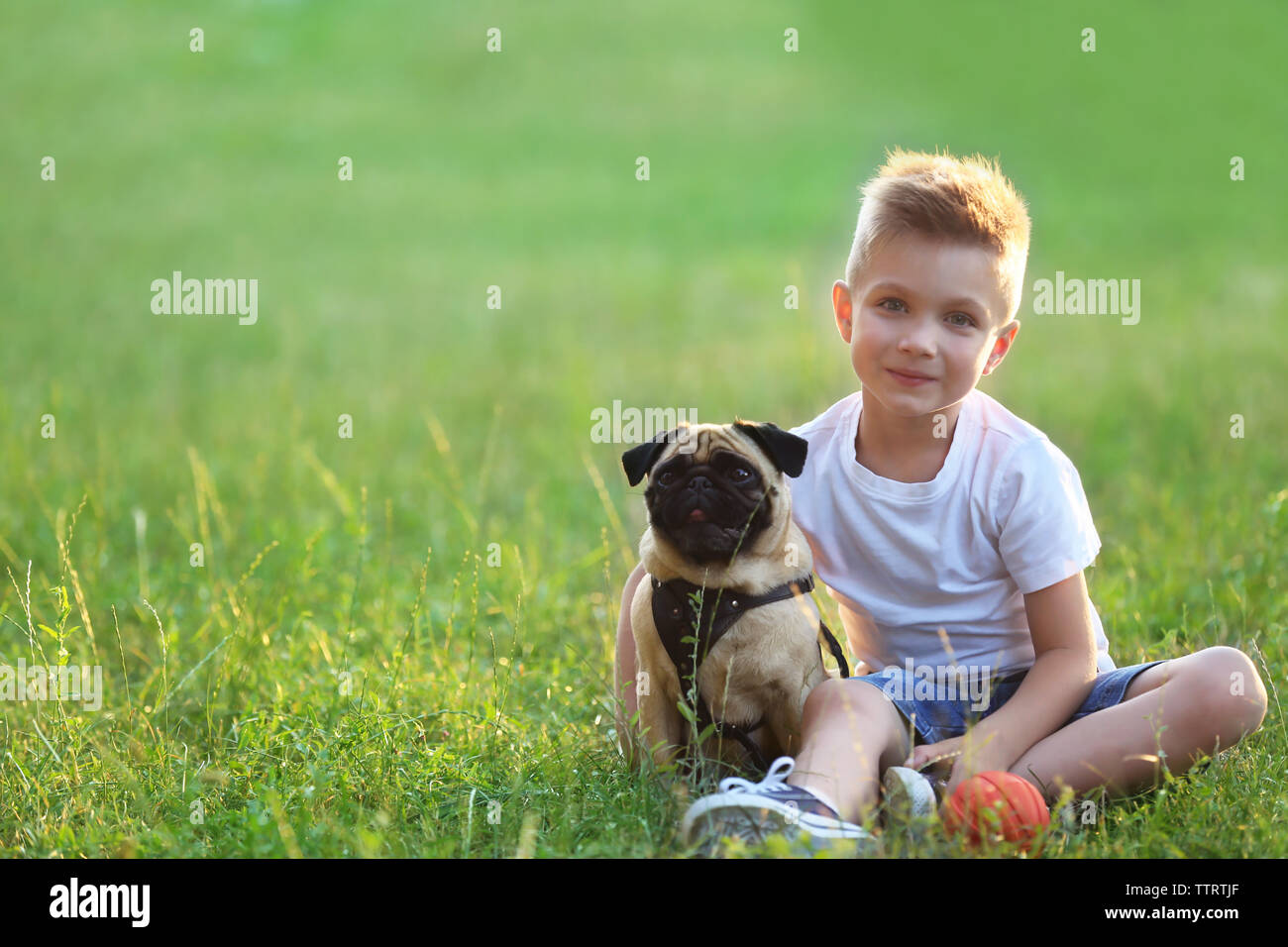 Cute boy with pug dog on green grass Stock Photo - Alamy