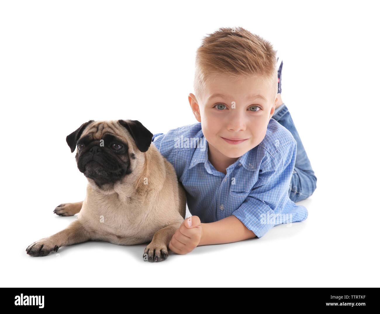 Cute boy with pug dog, isolated on white Stock Photo - Alamy