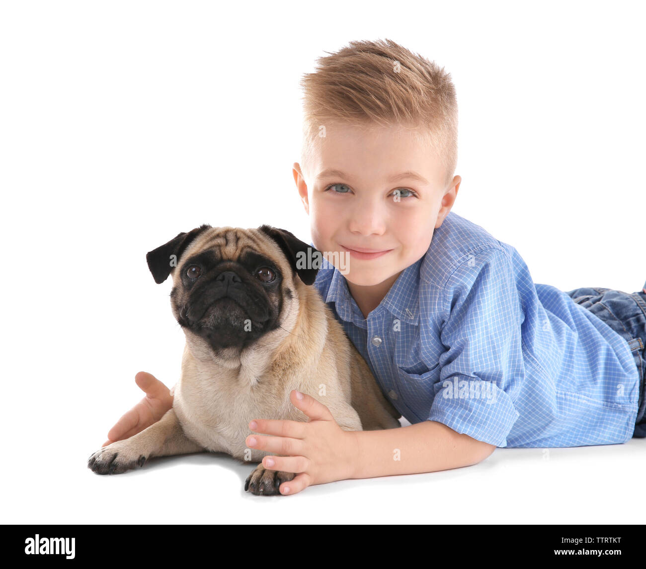 Cute boy with pug dog on white background Stock Photo - Alamy